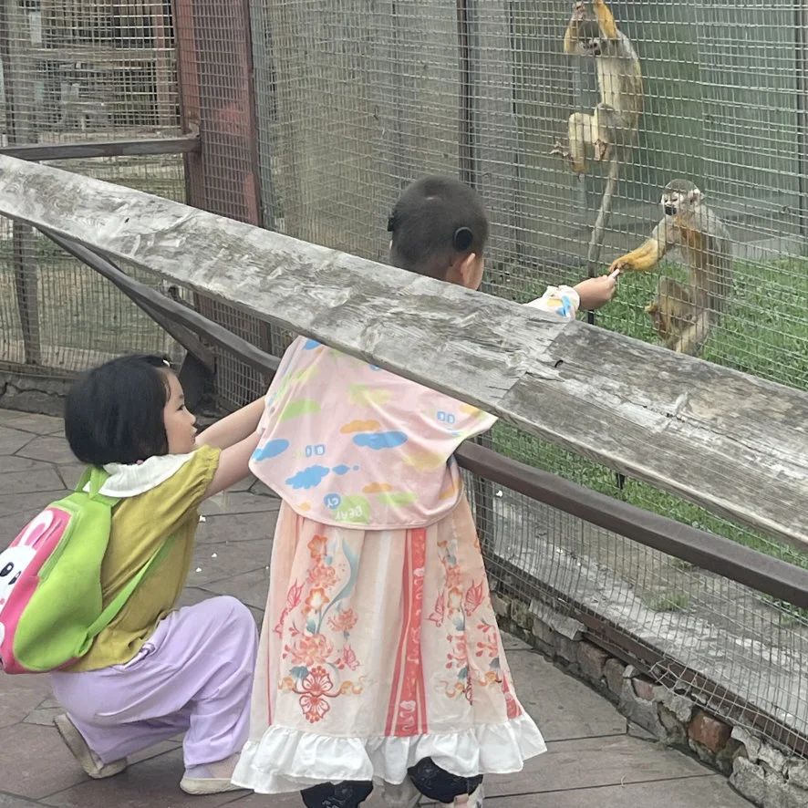 微信图片_2025-08-13_134153_764.jpg