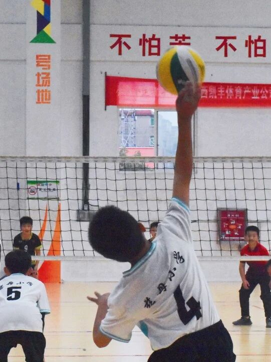 1762744478325932.jpg 微信图片_2025-11-10_105847_400.jpg