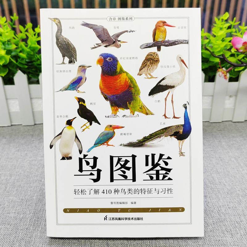 1765848930337410.png 1765848930337410.png