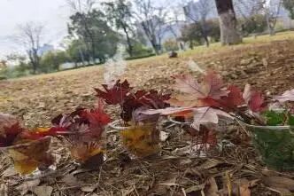 1767143604199830.jpg 微信图片_2025-12-31_090049_868.jpg