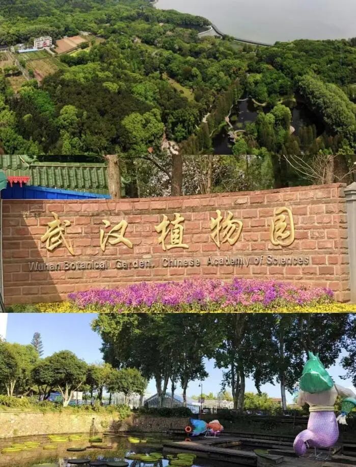 1767146475946035.jpg 微信图片_2025-12-31_100025_204.jpg