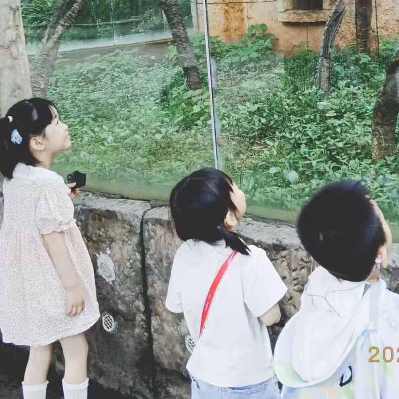 微信图片_2026-09-02_090448_106.jpg
